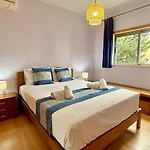 Shine With Pool By Homing